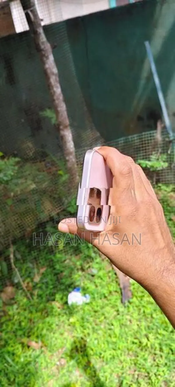 Oppo A6 Pro 5G (Used)