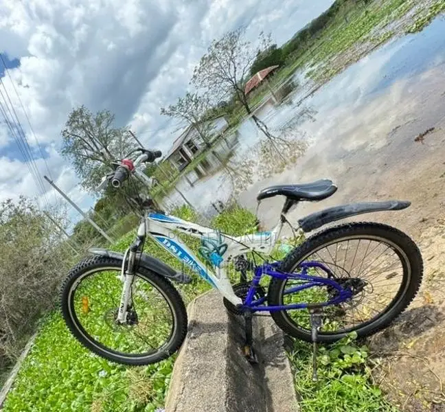 DSI Bicycle