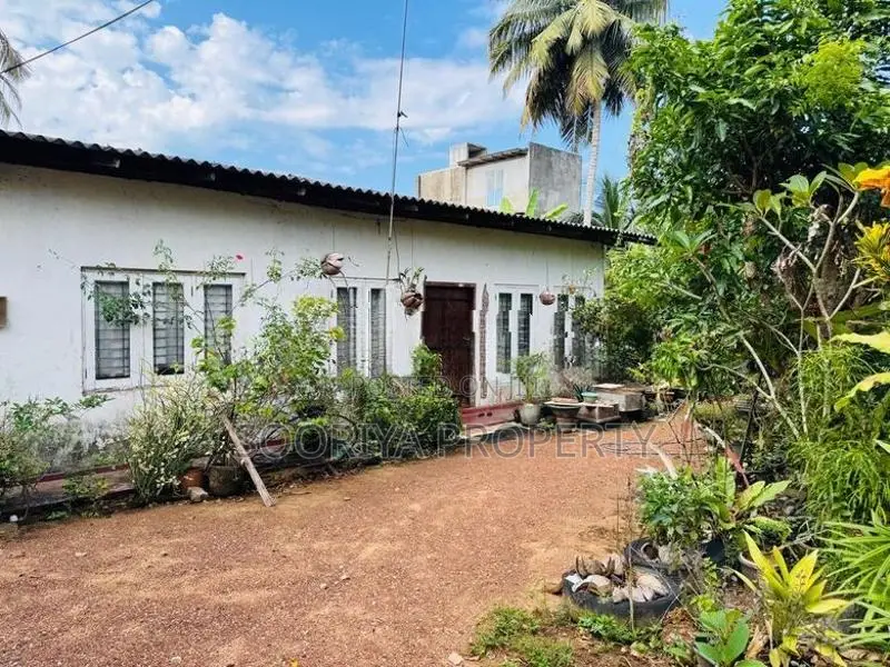 ඉහල වැදගත් පරිසරයකින් ඉඩමක් විකිණීමට ඇත - Piliyandala