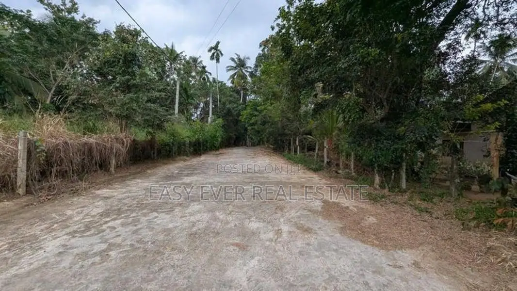 Udugampola සුපිරි වෙල් යායට මුහුණලා ඇති වටිනා ඉඩමක් විකිණීමට