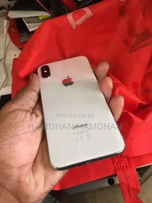 Apple iPhone X (Used)