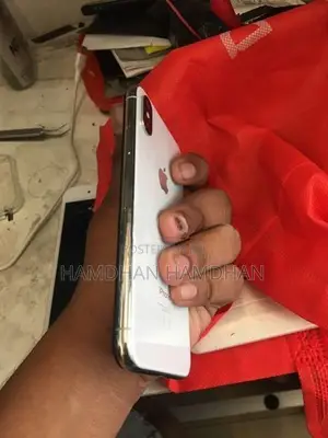 Apple iPhone X (Used)