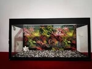 Fish Tank