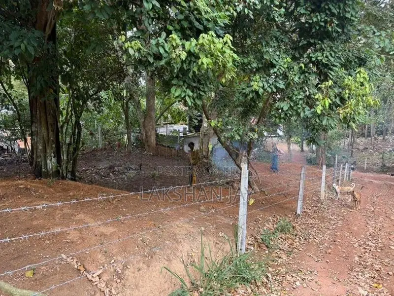 Hiriketiya Land for Sale