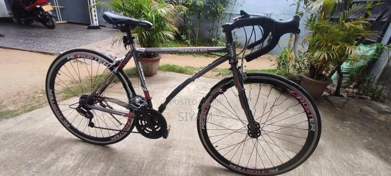 Lumala Roadster Bicycle