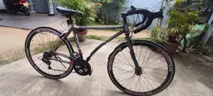 Lumala Roadster Bicycle