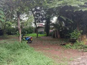 මඩපාත පාරෙන් පර්චස් 10ක ඉඩමක් විකිණීමට ඇත - Piliyandala