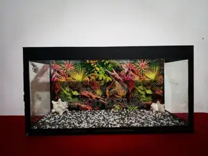 Fish Tank