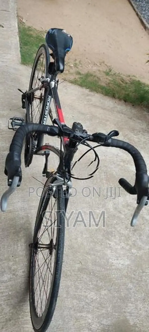 Lumala Roadster Bicycle