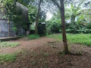 මඩපාත පාරෙන් පර්චස් 10ක ඉඩමක් විකිණීමට ඇත - Piliyandala