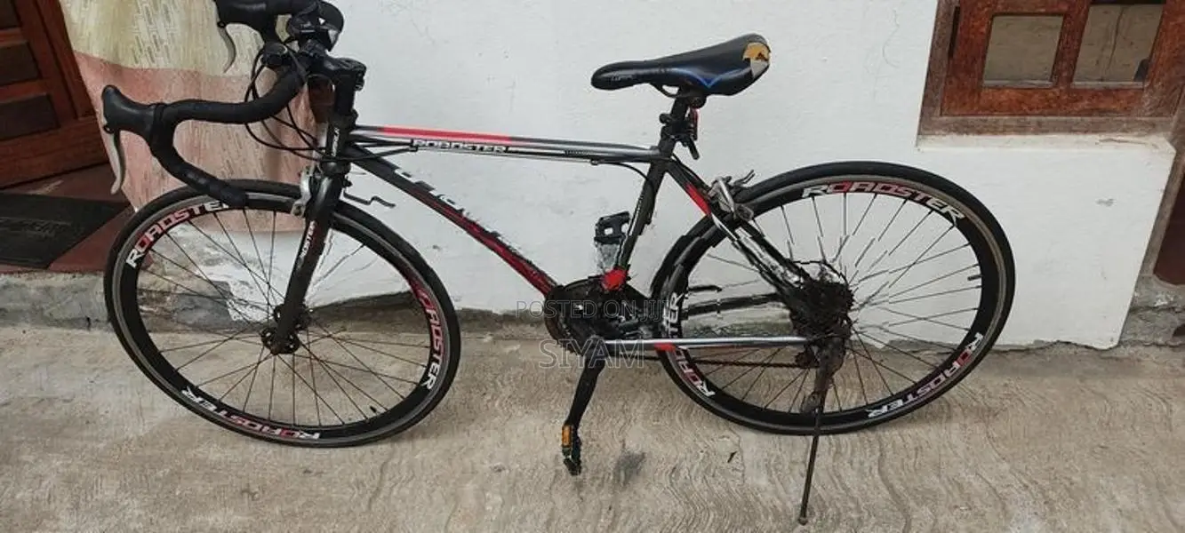 Lumala Roadster Bicycle