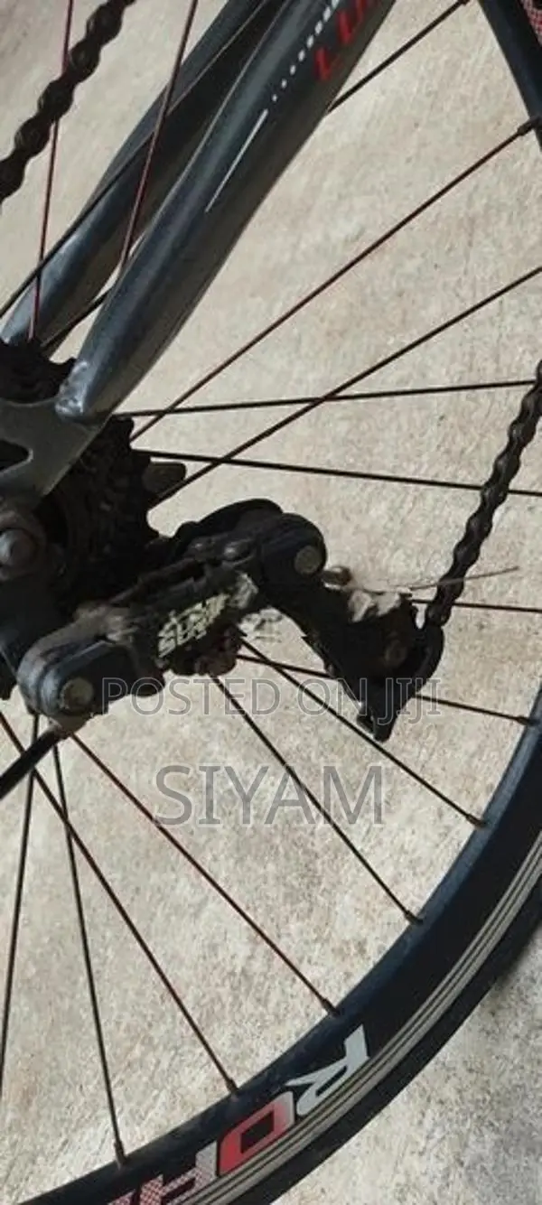 Lumala Roadster Bicycle