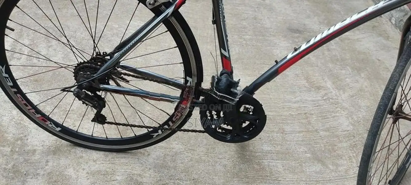 Lumala Roadster Bicycle