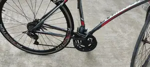 Lumala Roadster Bicycle