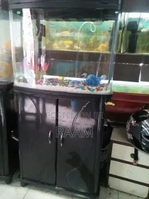Aquarium Fish Tank