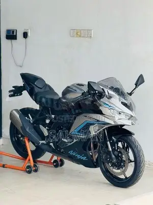 Kawasaki Z Zx25r 2024