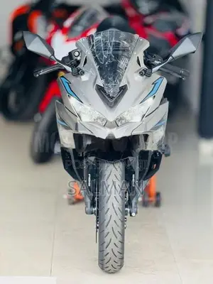 Kawasaki Z Zx25r 2024