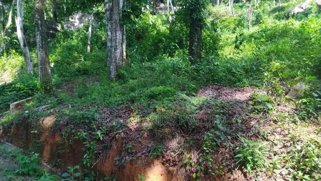 Land for Sale Rambukkana