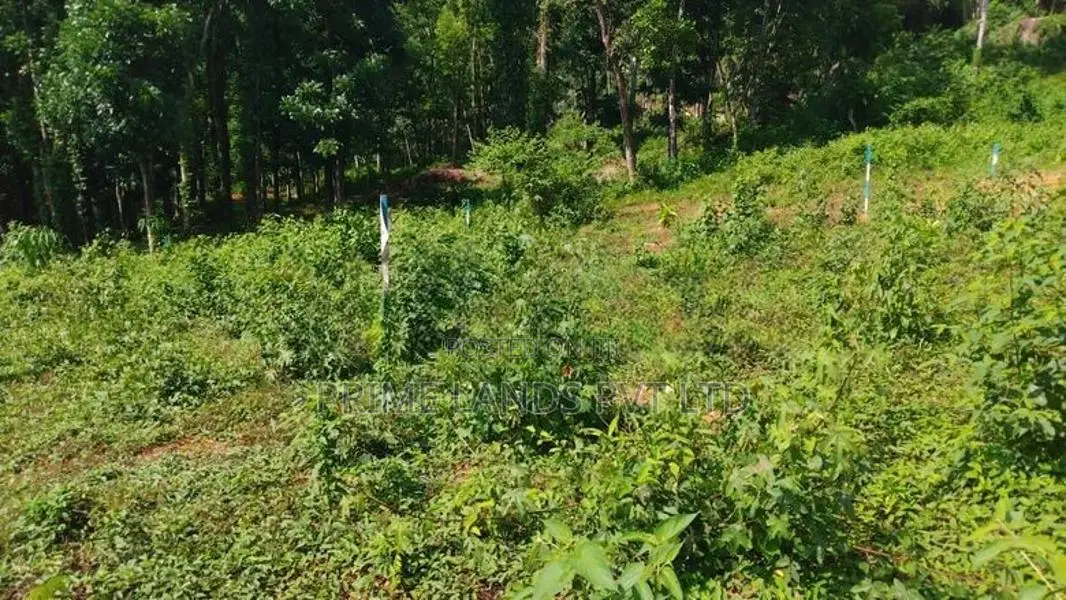 Land for Sale Rambukkana