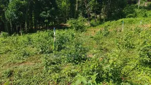 Land for Sale Rambukkana