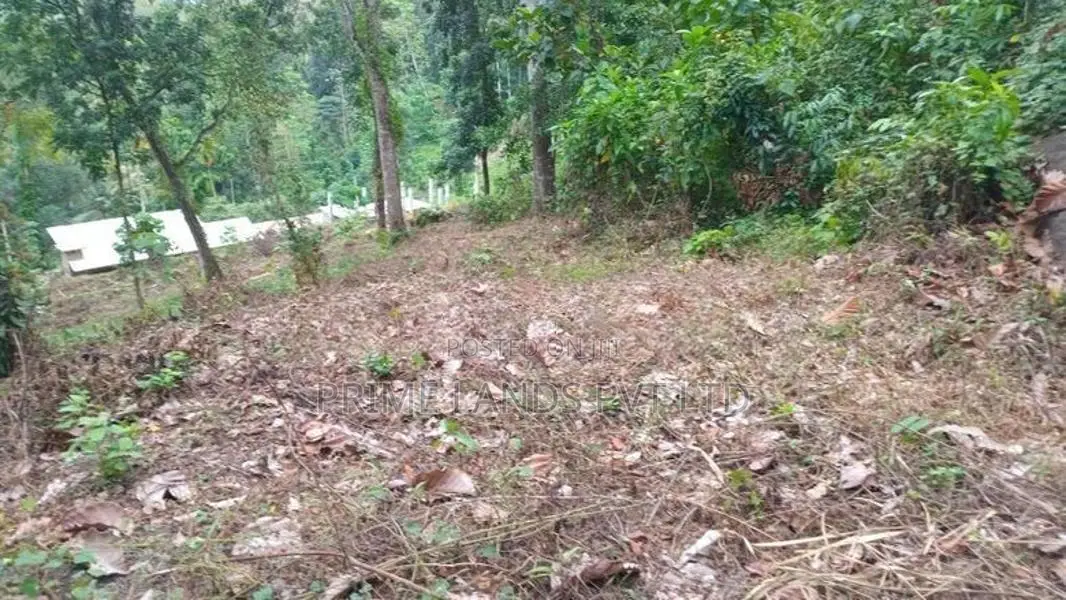 Land for Sale Nelundeniya