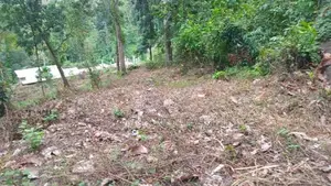 Land for Sale Nelundeniya