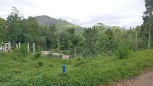 Land for Sale Nelundeniya