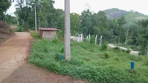 Land for Sale Nelundeniya
