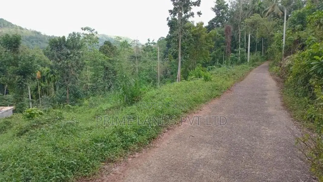 Land for Sale Nelundeniya