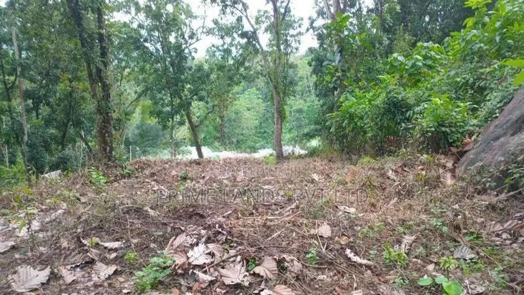 Land for Sale Nelundeniya