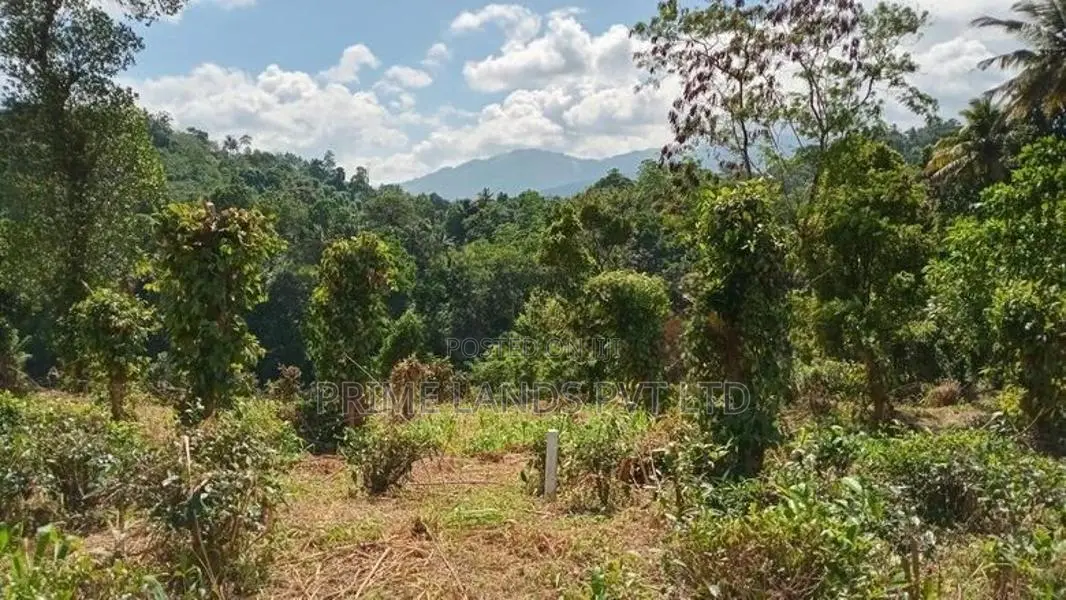 Land for Sale Pilimathalawa