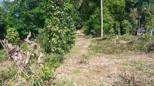Land for Sale Pilimathalawa