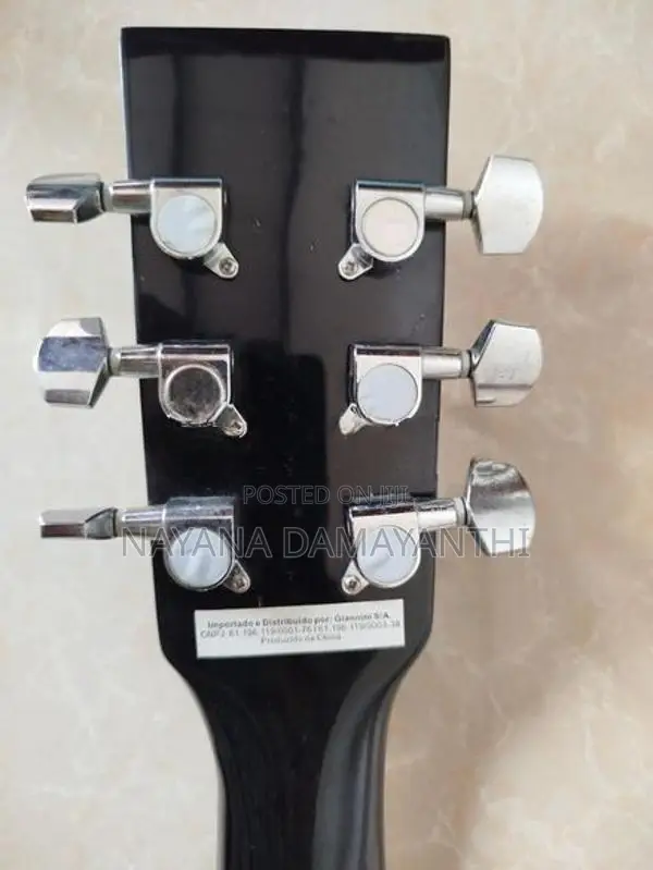 Guitar