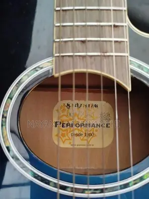 Guitar