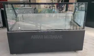 Display Freezer