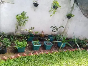 House for Sale in Boralesgamuwa