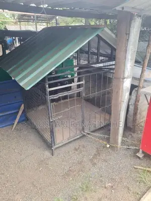 Dog Cage