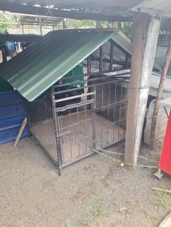 Dog Cage