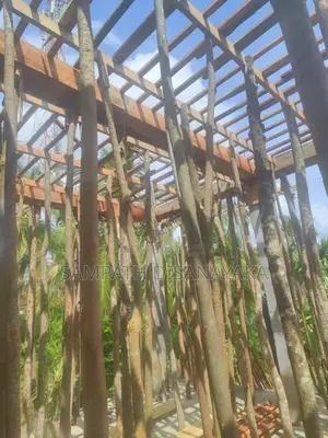 සැටලිම Shuttering