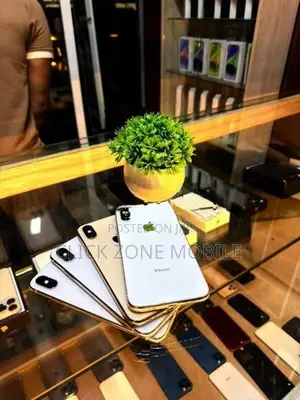 Apple iPhone XS 256GB (Used)
