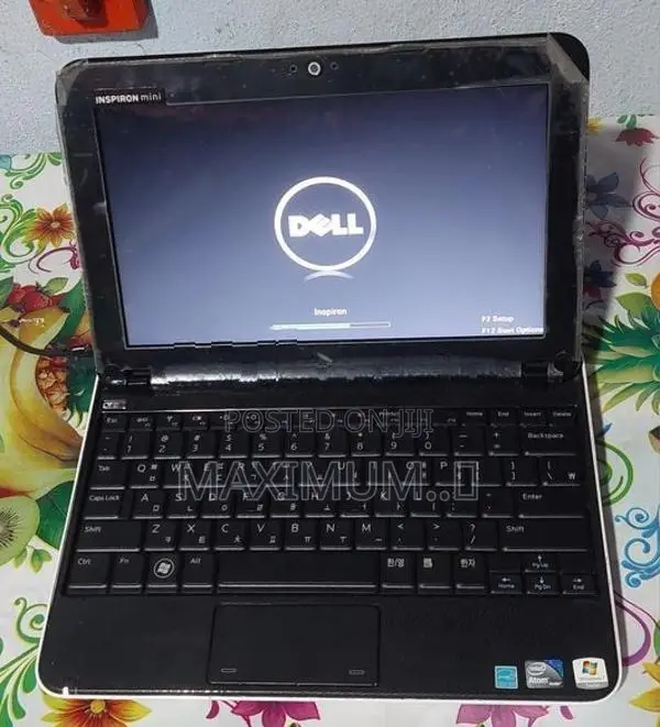 Dell Mini Laptop