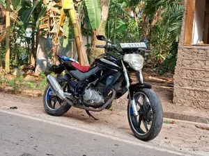 Demak DZM 2016