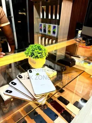 Apple iPhone XS 256GB (Used)