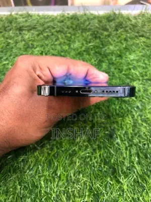 Apple iPhone 12 Pro (Used)