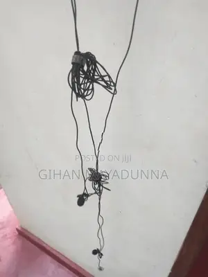 Boy Double Mic