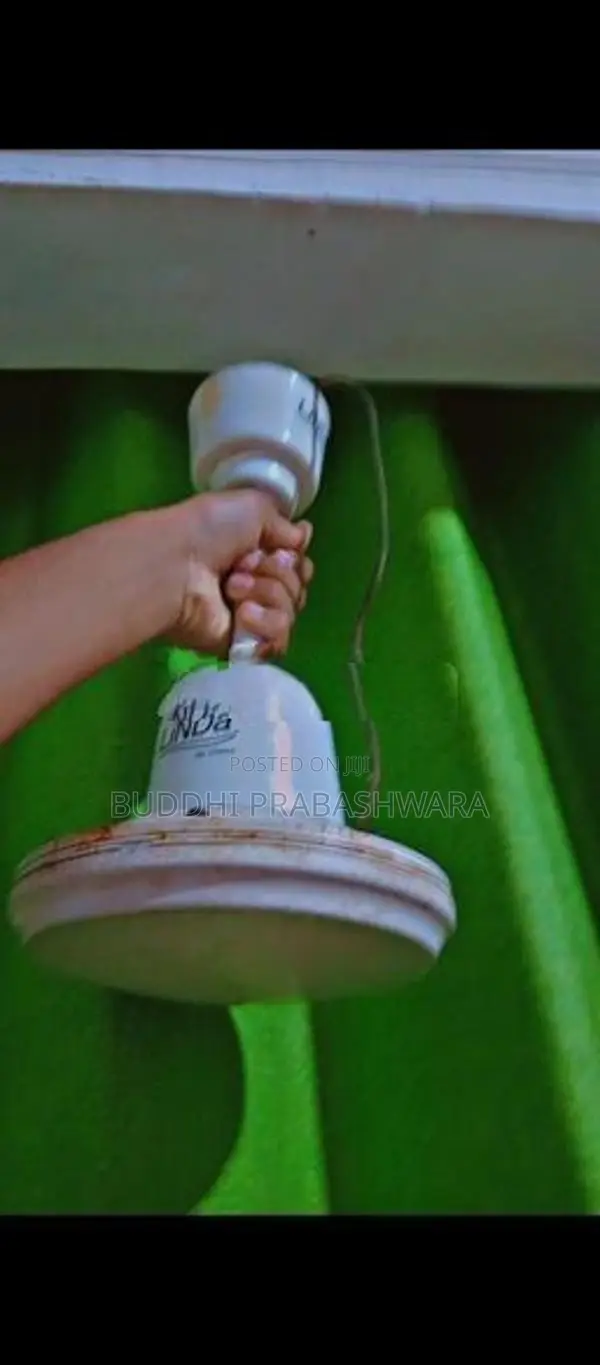 Ceiling Fan