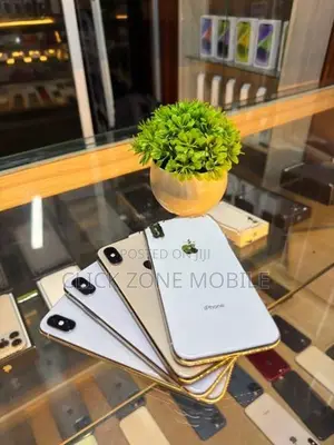Apple iPhone XS 256GB (Used)