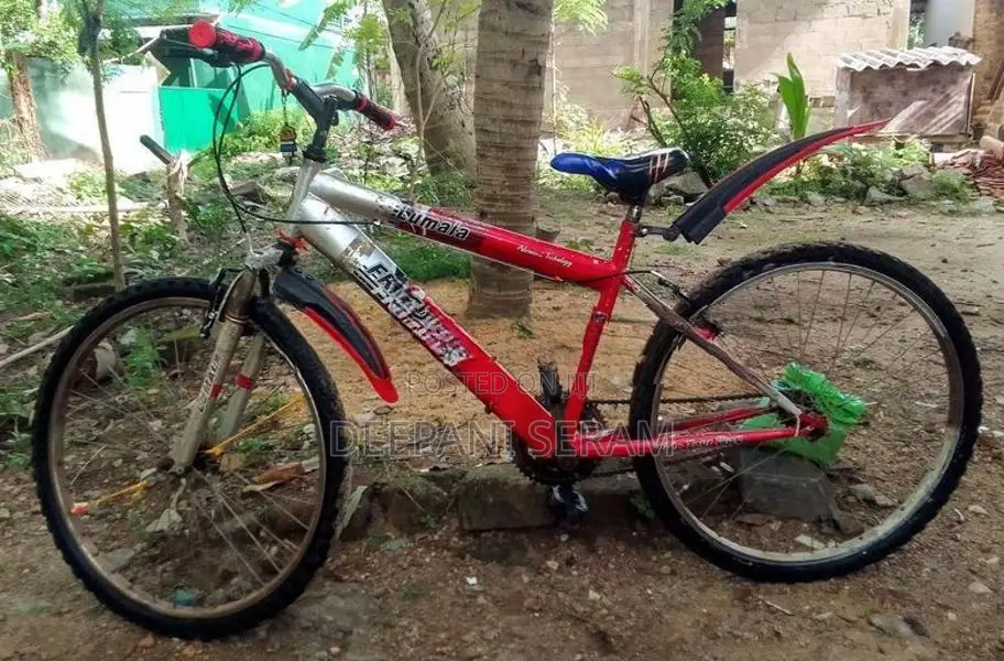 බයිසිකල්