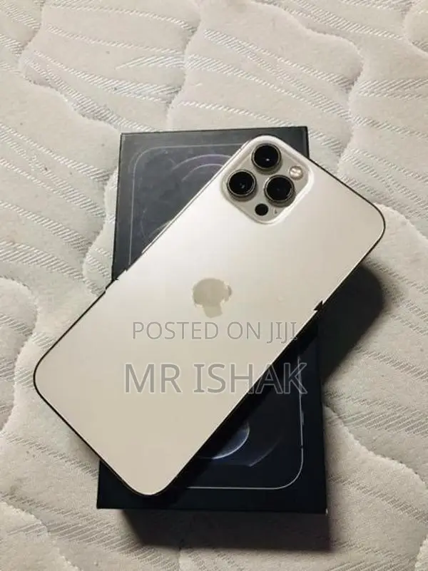 Apple iPhone 12 Pro Max (Used)