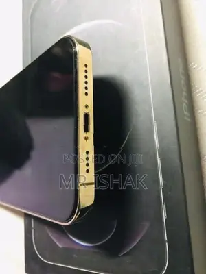 Apple iPhone 12 Pro Max (Used)